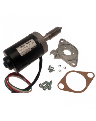 Электродвигатель BX-243 в сборе Came 119RIBX046 в Первоуральске Запчасти для шлагбаумов и автоматики Pintop.ru