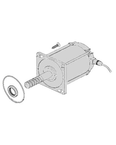 Электродвигатель Came 119RIA025 в Первоуральске Запчасти для шлагбаумов и автоматики Pintop.ru